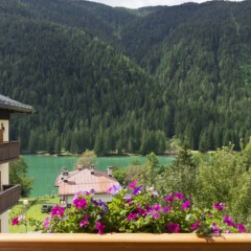 hotel erika auronzo di cadore solutionhotel 1082 - 1  .jpg